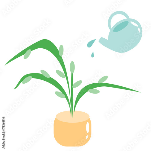 Vector illustration of a blue watering can and a flower in a pot with green leaves. Take care of your home plant. Water the flowers. Isolated