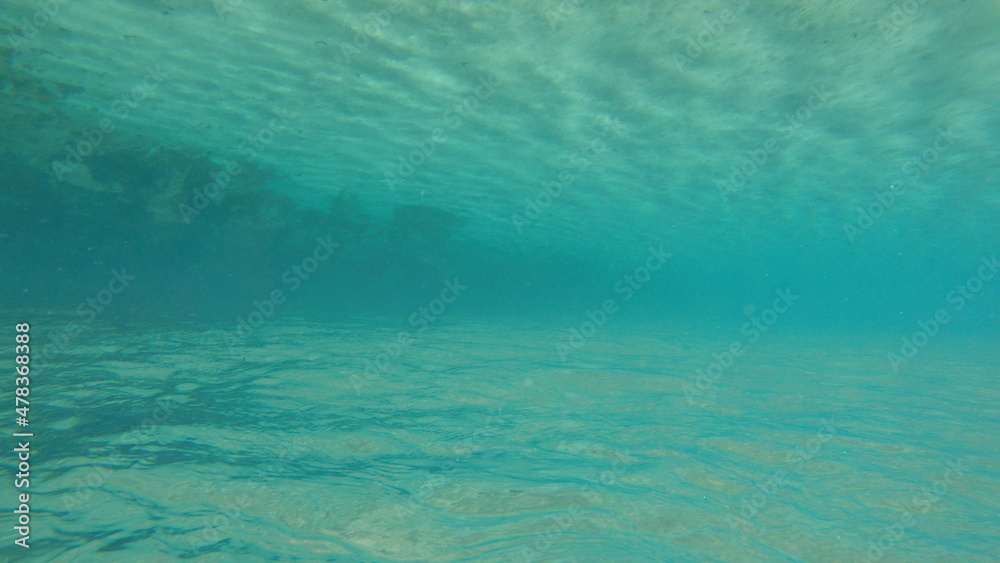 Obraz premium Underwater