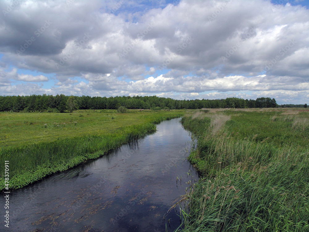 Biebrza National Park, Jerzgnia River, Poland Biebrza National Park, Jerzgnia River, Poland