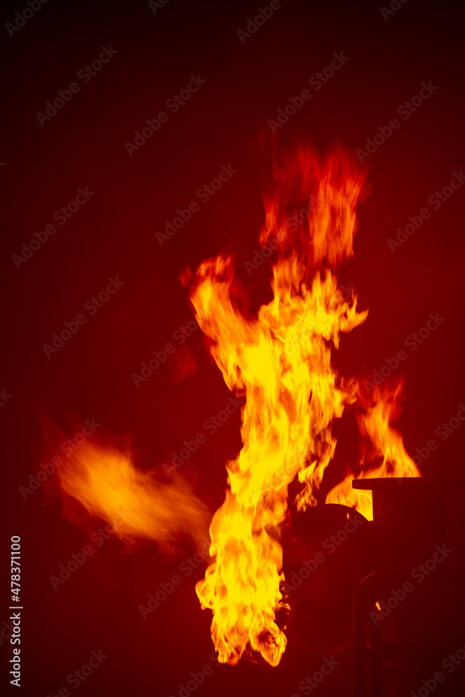 Fototapeta premium Feuer