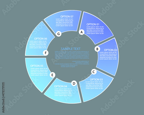 Set elements of infographics for business presentation, vector illustration template