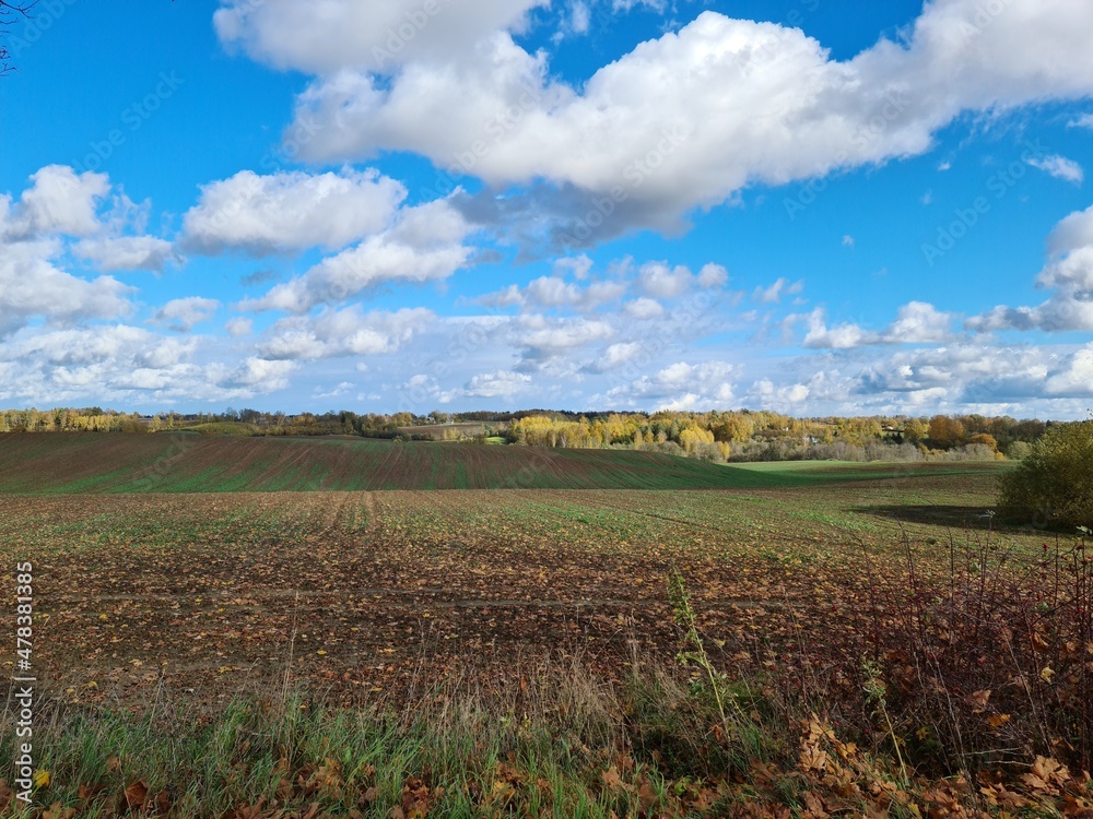 Endless expanses of fields harvested in autumn and blue cloudy sky