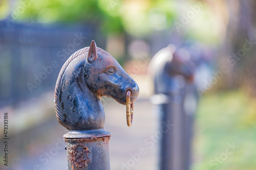 Close up shot of a horse metal pole