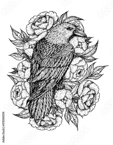 Raven and flowers hand drawn illustration. Tattoo vintage print. Hand drawn floral print. Tattoo design.