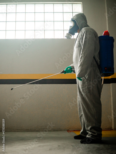 man performing urban pest disinsectization photo