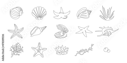 Set of seashells and starfishes. Continuous one line drawing of oyster mollusk with pearl corral and snail shells in simple linear style. Modern minimalist outline icon. Doodle Vector illustration
