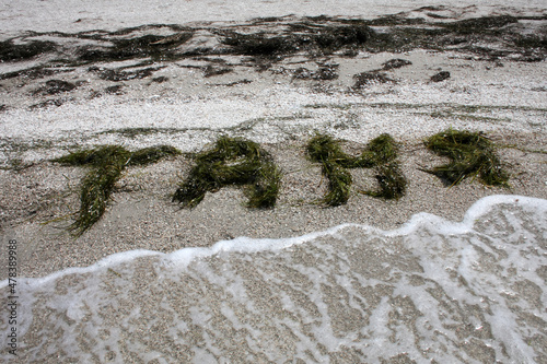 Fotografija The female name Tanya is depicted on the sea sand using seaweed in Russian