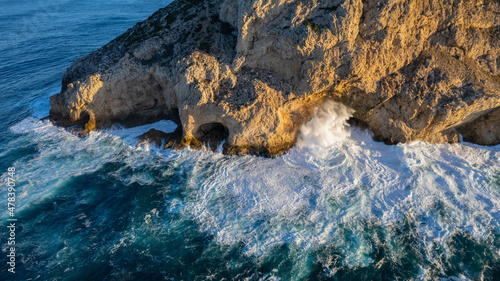 Fototapeta Naklejka Na Ścianę i Meble -  sea lion on the rocks