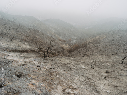 burnt mountain after fire 