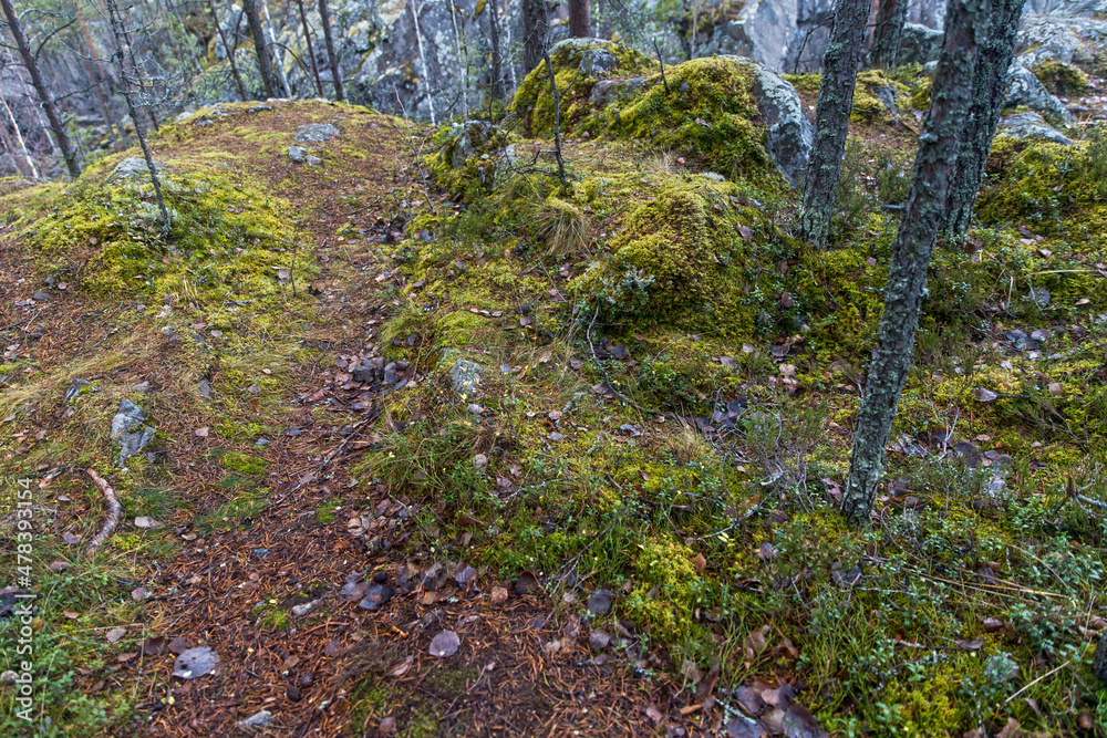 Rocks of extinct ancient paleo-volcano Girvas in Karelia, Russia. Rocks of extinct ancient paleo-volcano Girvas in Karelia, Russia.