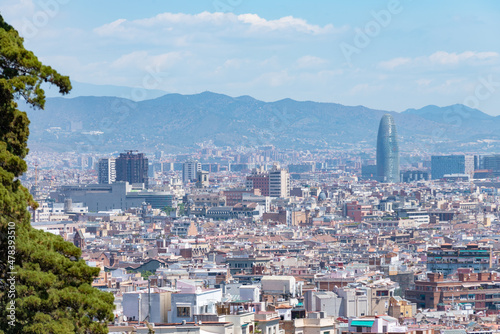 Barcelona skyline seen from Montjuic