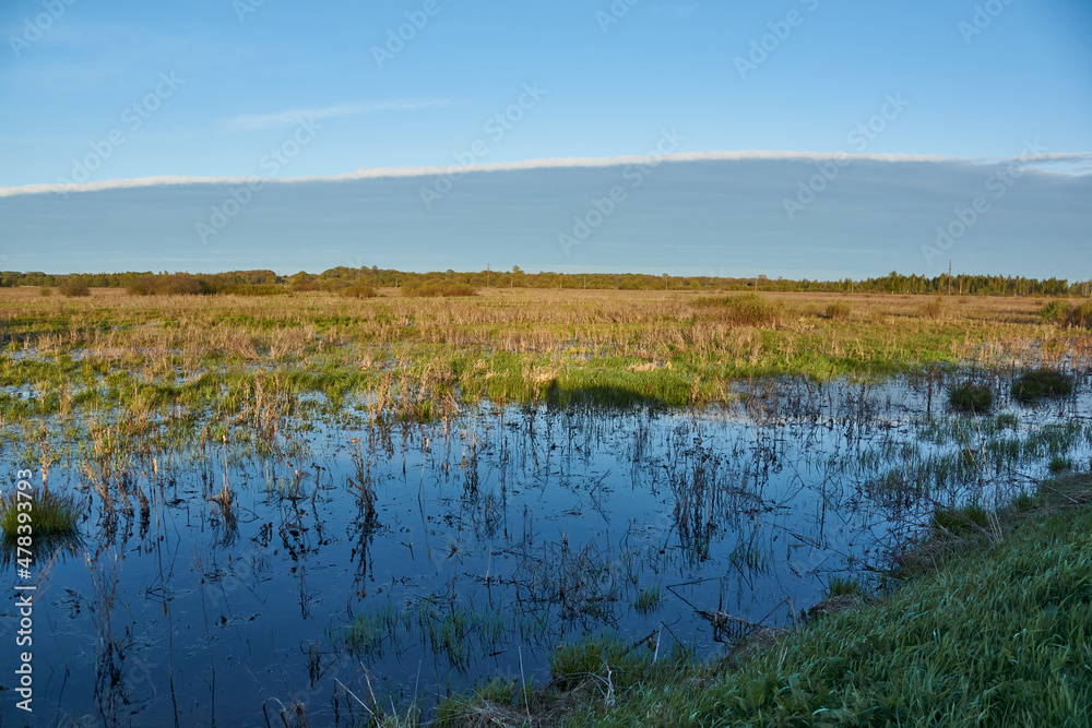 Flood meadows in the floodplain of the river. Reflection in the water.