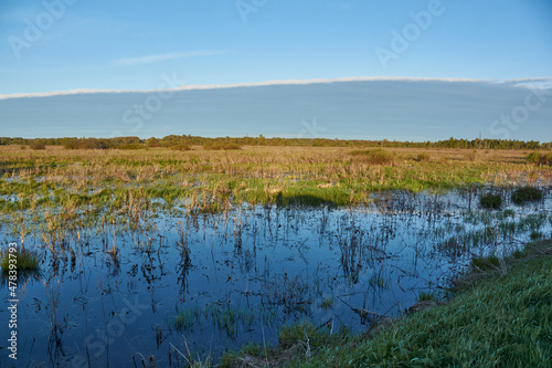 Flood meadows in the floodplain of the river. Reflection in the water.