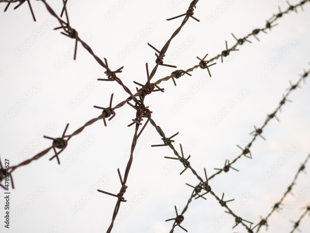 silhouette of the barbed wire on white background. silhouette of the barbed wire on white background.