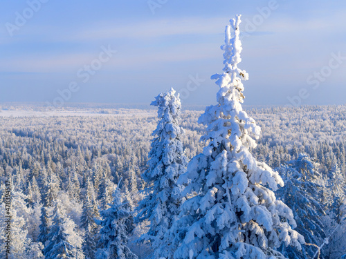 Fabulous winter landscape. Snow-covered trees in the Ural winter forest.