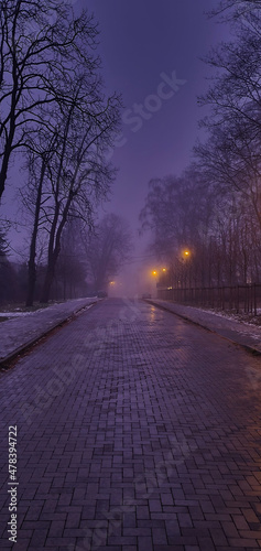 Street and lanterns during a foggy and rainy night in the city of Lodz. © bARTkow