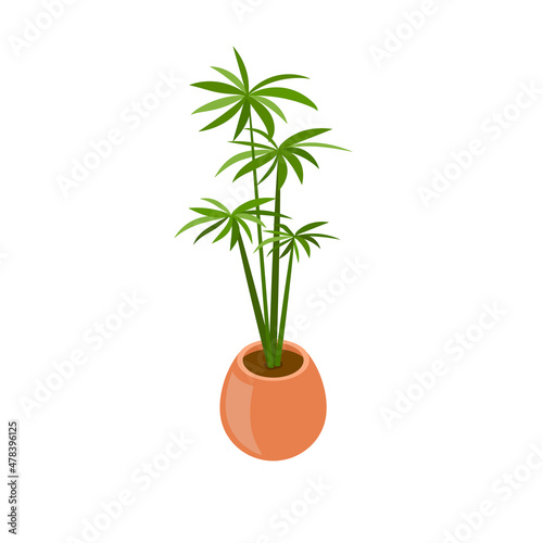 Palm Areca in ceramic pot isometric illustration