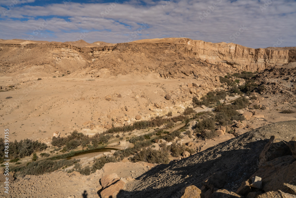 Naklejka premium view of South mountain in western Tunisia close to Sahara -Tozeur governorate - Tunisia 