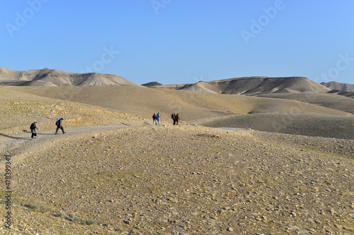 Group of tourists hiking, travelers on a trail in an Israeli desert mountains. Backpackers tourists group walking hiking rocks desert path trail. Israel desert hills landscape at spring, green grass