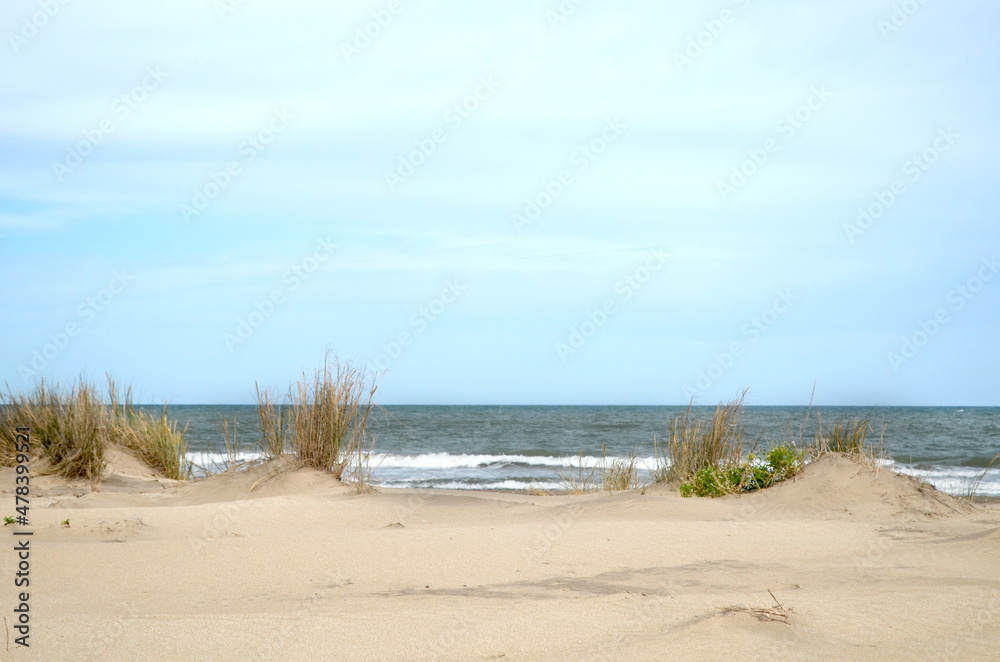 Médano y el mar en el horizonte. Se puede usar como fondo.