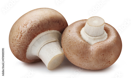 Close-up of two champignon mushrooms, isolated on white background