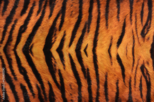 Fotobehang Background with a pattern of tiger stripes, tiger color