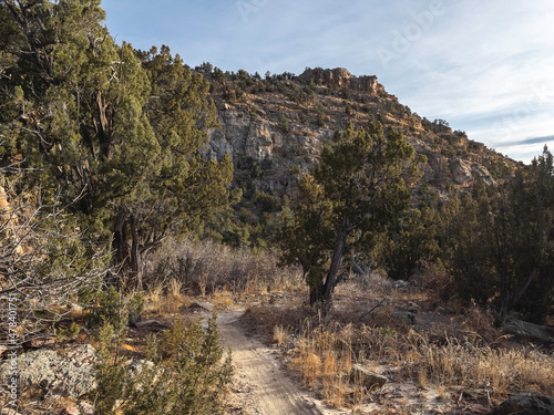 Warm Winter Light on Anticline Trail