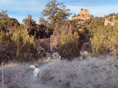 End of Day on Anticline Trail