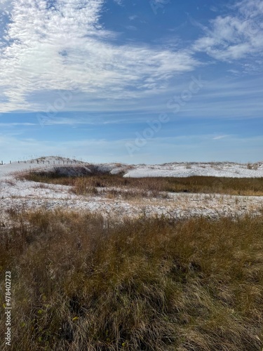 winter grass on white sand dunes
