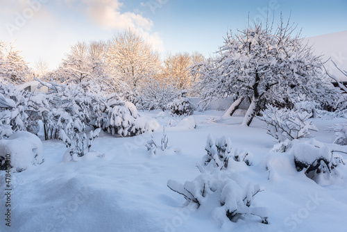 Garden with a thick layer of snow on a sunny winter day © Bargais