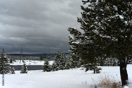 Yellowstone Winter Snow © Paul Moore