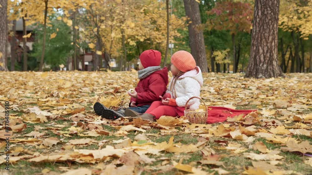 Little Preschool Kid Siblings Girl And Boy Smiling On Plaid Yellow Fallen Leaves In Basket Picnic Children Eating fruit Red Apple Look At Camera Weather In Fall Park. Family, Autumn harvest Concept Little Preschool Kid Siblings Girl And Boy Smiling On Plaid Yellow Fallen Leaves In Basket Picnic Children Eating fruit Red Apple Look At Camera Weather In Fall Park. Family, Autumn harvest Concept