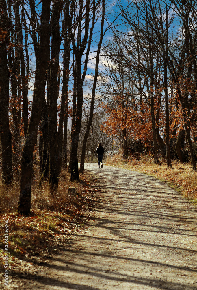 paisaje de otoño con camino y persona paseando en un día soleado paisaje de otoño con camino y persona paseando en un día soleado