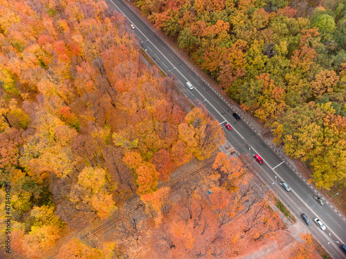 Aerial fly above traffic on scenic road in autumnal colorful forest. Cars driving street in autumn city park. Treetop view on Kharkiv, Ukraine