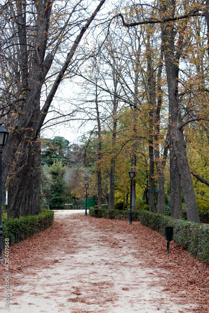 Footpath during autumn at El retiro park of Madrid Footpath during autumn at El retiro park of Madrid