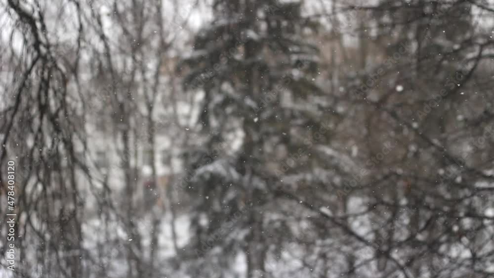 Snow outside window. It's snowing outside. Calm fall of snowflakes. Winter weather. Details of weather changes. Soothing background. Texture of falling snowflakes. Snow outside window. It's snowing outside. Calm fall of snowflakes. Winter weather. Details of weather changes. Soothing background. Texture of falling snowflakes.