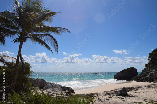 paradise beach with palm trees and rocks with boat in the sea