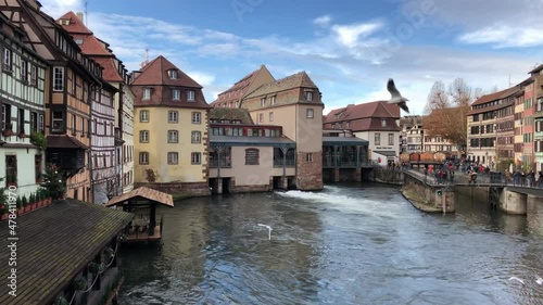 Panoramic view of Strasbourg city center with canal and flying seagulls photo