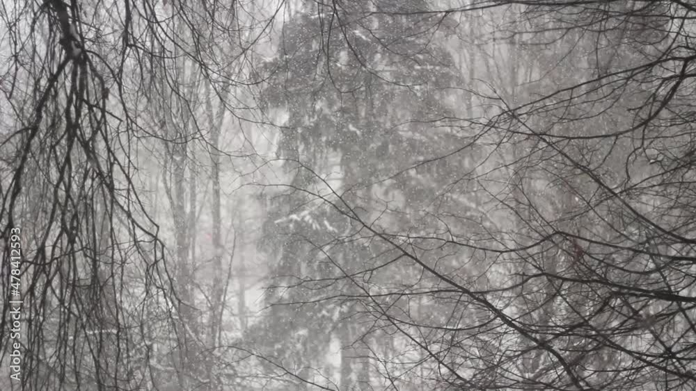 Snow falls into the details. Snowfall outside the window. Snowflakes are flying. Snow falls into the details. Snowfall outside the window. Snowflakes are flying.