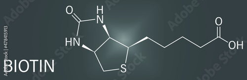 Biotin or vitamin B7 molecule. Skeletal formula.