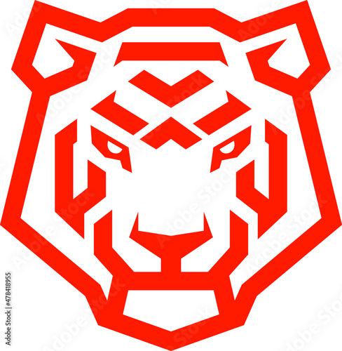 Simple Geometric Design of Tiger Head