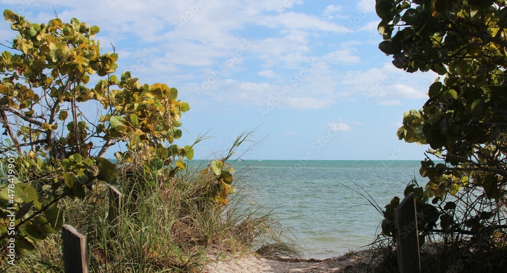 Fototapeta premium ocean waterbackground