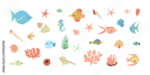 Underwater creatures, sea, ocean fish set. An angelfish and a pufferfish, a sea star, shells, a coral reef, a seahorse. 