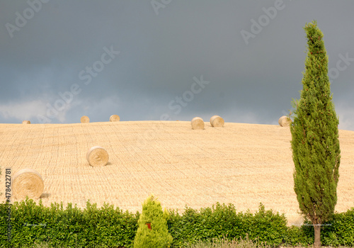 Tuscany, hayfields