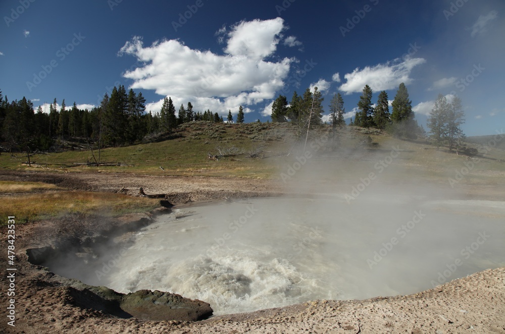 Churning Caldron along Mud Volcano Trail in Yellowstone National Park, Wyoming