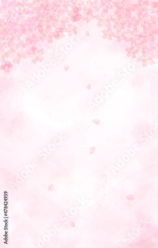 桜の背景イラスト