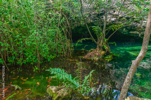 Fullshot of a beautiful clear water cenote in Mexico