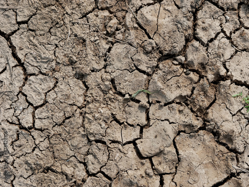 cracked brown dry soil texture