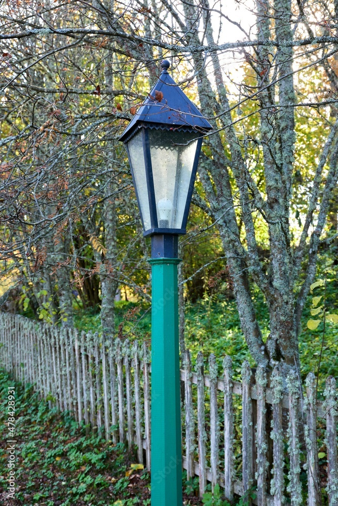 Single street light in park 