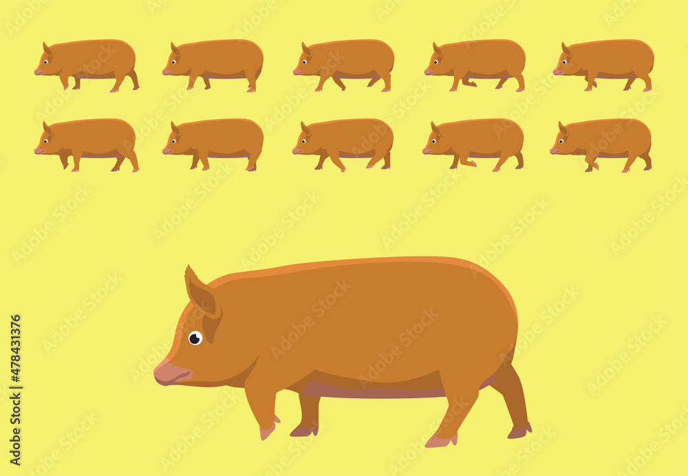 Fototapeta premium Pig Tamworth Walking Animation Cartoon Vector Illustration
